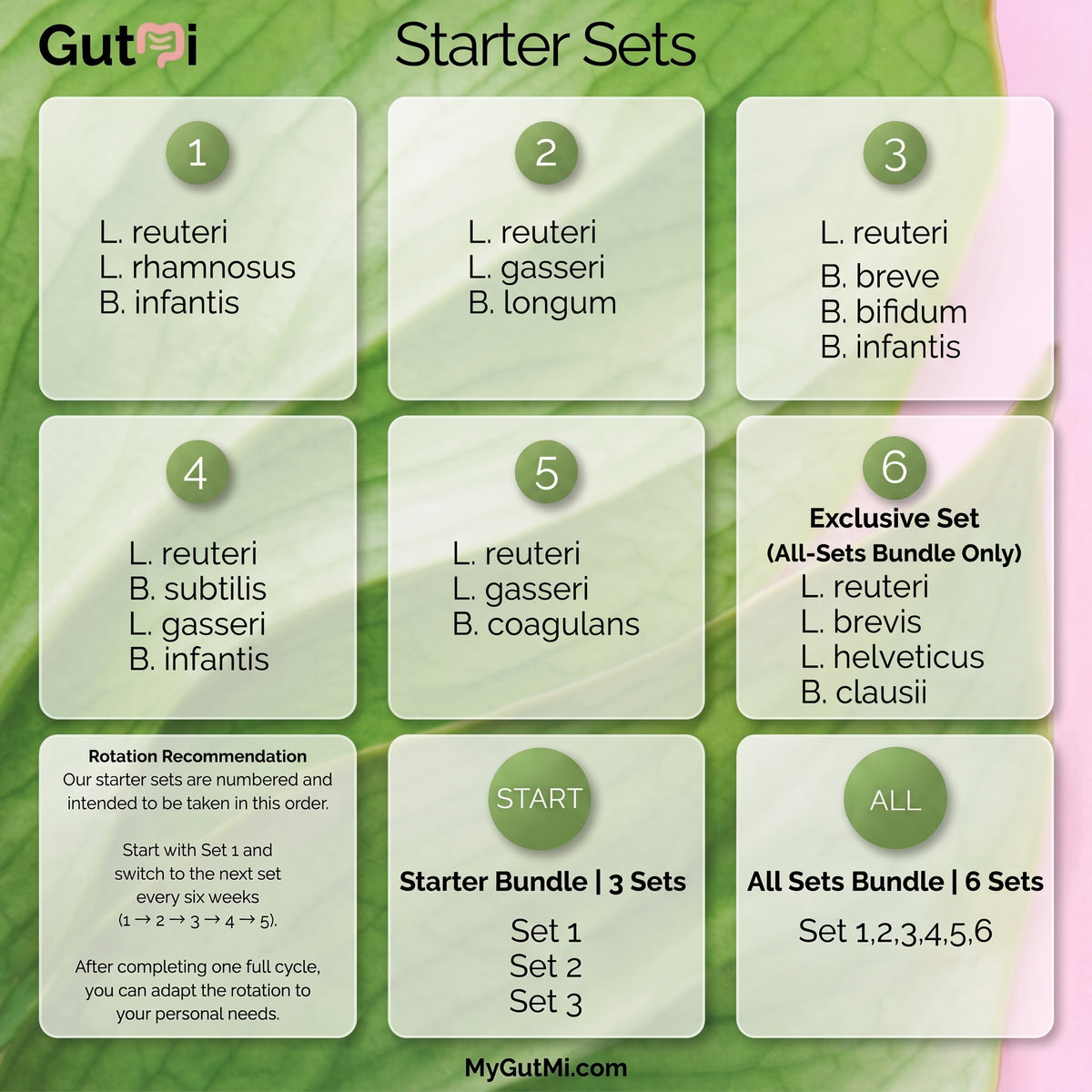 L. reuteri + B. coagulans + L. gasseri | SIBO | Yogurt Starter Set | Starter Cultures | 3 Yogurt Starters